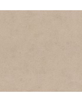 Papel pintado liso  beige oscuro 003gJAP