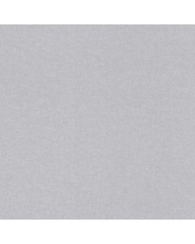Papel pintado liso gris 009gDRE