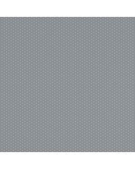 Papel pintado gris puntos 019gGAR