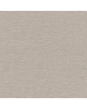 Papel pintado liso gris 045gBAS