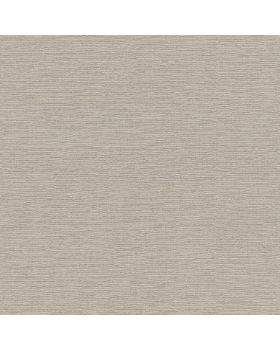 Papel pintado liso gris 045gBAS