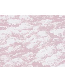 Papel pintado plantas nubes rosa 377051gJUN