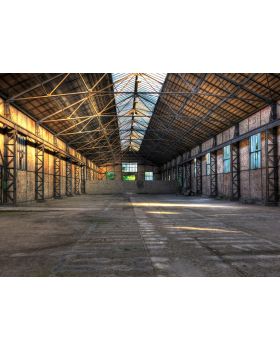Fotomural antigua fábrica DD118748gDW