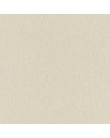 Papel pintado liso gris 004gBOT
