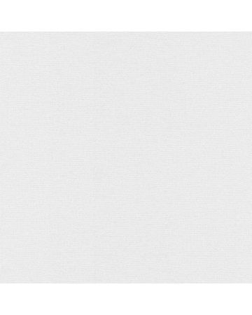 Papel pintado liso crudo 005gSIN