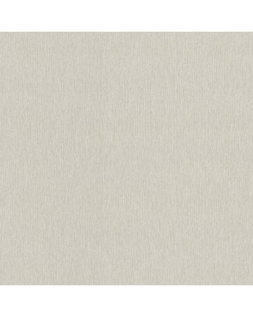 Papel pintado liso gris 008gPAR