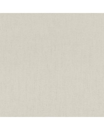 Papel pintado liso gris 009gBEL