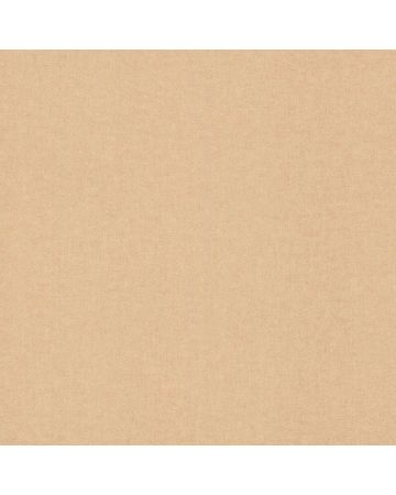 Papel pintado liso marrón 014gBAM