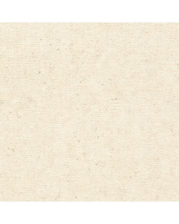 Papel pintado cemento beige 017gMAN