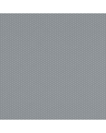 Papel pintado gris puntos 019gGAR