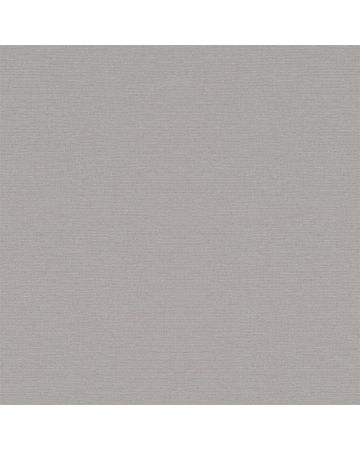 Papel pintado liso gris 020gSIN