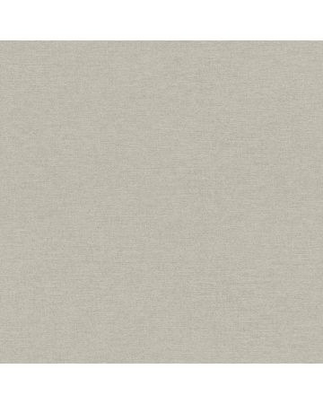 Papel pintado liso gris 025gBOT