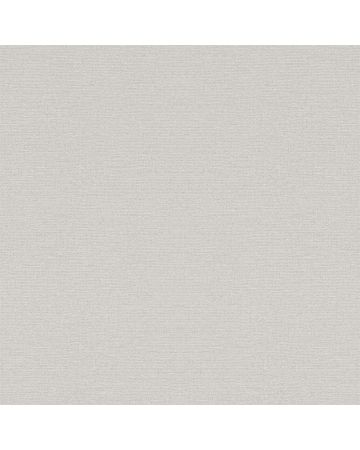 Papel pintado liso gris claro 043gSIN