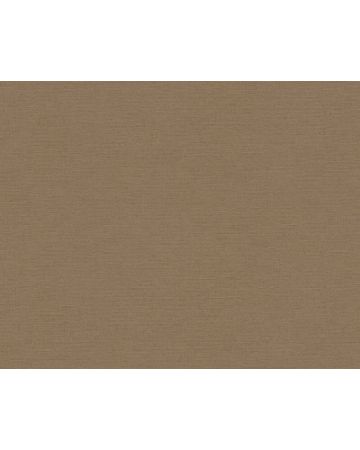 Papel pintado liso marrón 306892gANT