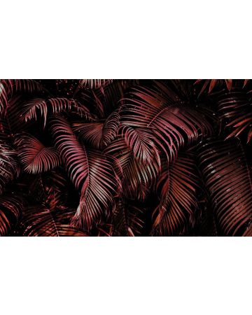 Fotomural tropical 363128gMW