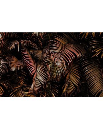 Fotomural tropical 363135gMW