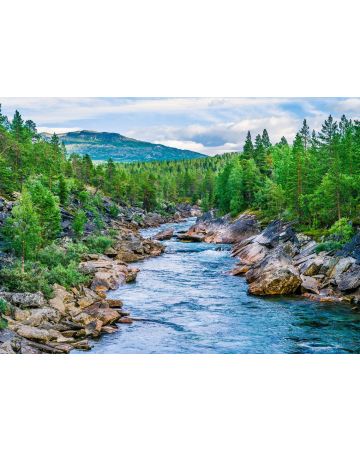 Fotomural valle con río 363272gMW
