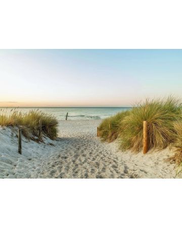 Fotomural camino de playa 363296gMW