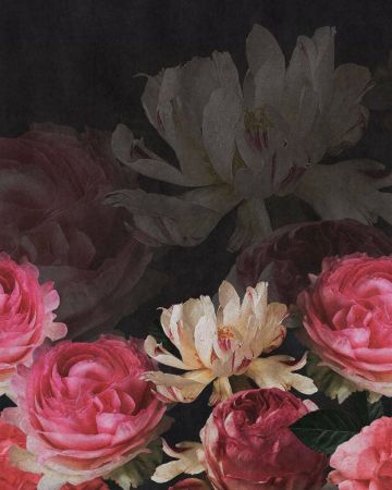 Fotomural rosas 363470gMW