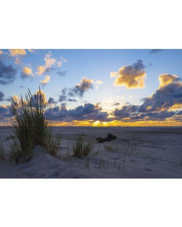Fotomural atardecer en el desierto 364699gMW