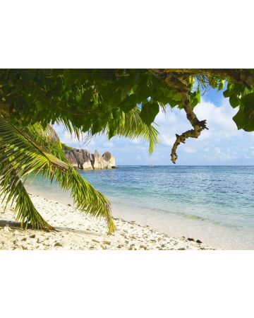 Fotomural playa tropical 364712gMW