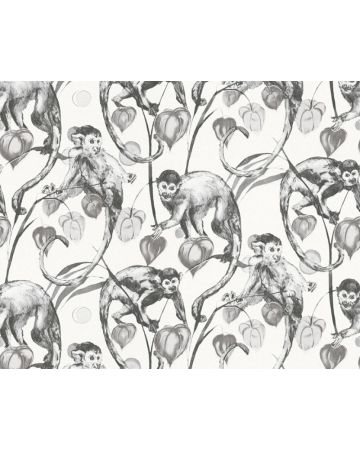 Papel pintado monos 379821gCHA