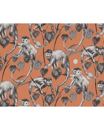 Papel pintado monos 379824gCHA