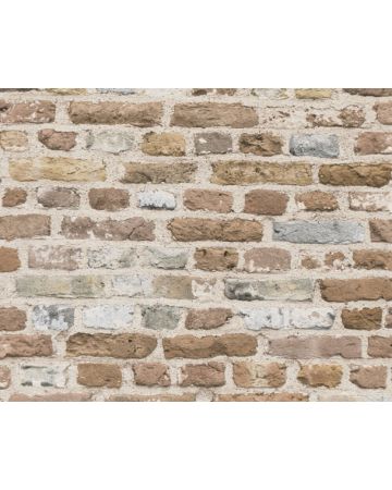 Papel pintado ladrillos marrón 388293gELE2