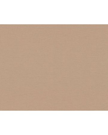 Papel pintado liso marrón claro 390972gANT
