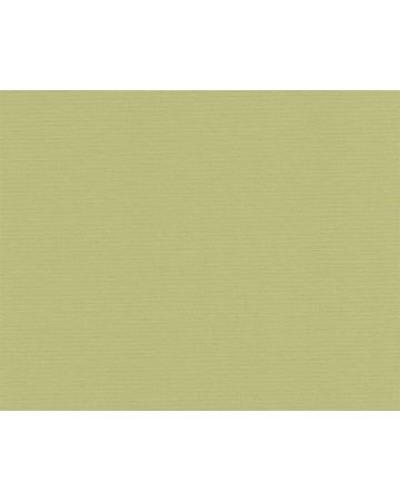 Papel pintado liso verde pistacho 390974gANT