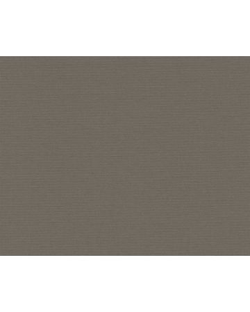 Papel pintado liso gris oscuro 390977gANT