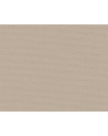 Papel pintado liso marrón claro 390983gANT