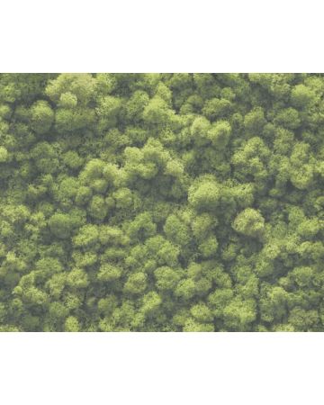 Papel pintado musgo verde 394051gPIN