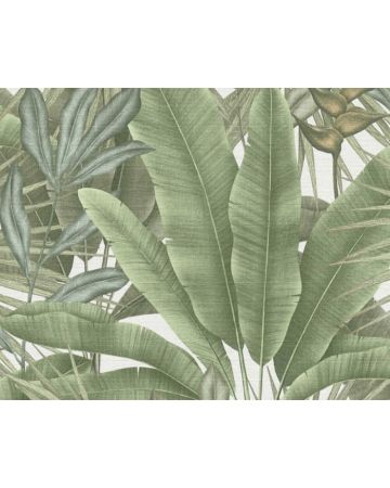 Papel pintado tropical verde marrón blanco 396472gSTO