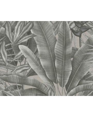 Papel pintado tropical gris marrón 396473gSTO