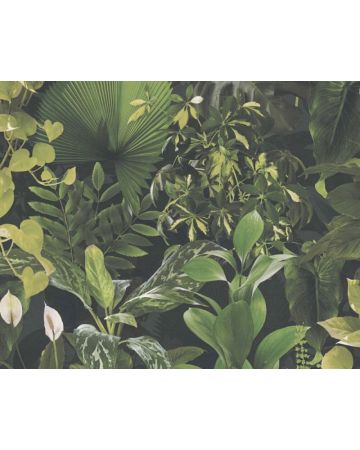 Papel pintado tropical verde 396981gPIN