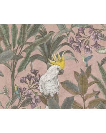 Papel pintado cacatúas salmón 397481gPIN