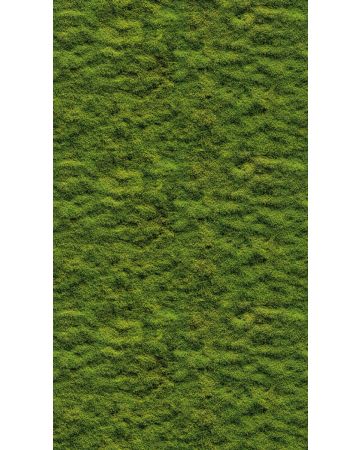 Fotomural musgo verde 398391gWALL