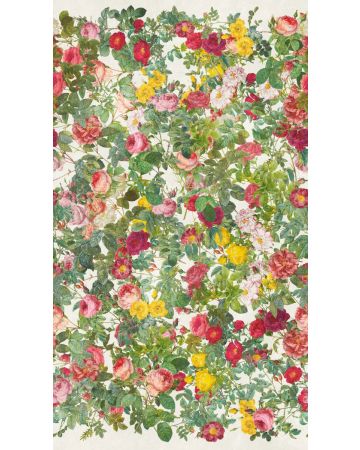 Fotomural flores 398641gWALL