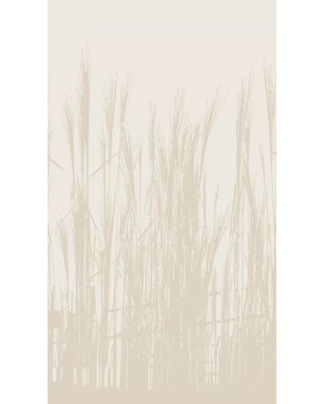 Fotomural plantas 398781gWALL