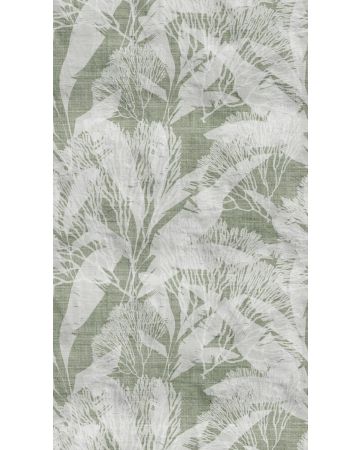 Fotomural selva 398851gWALL
