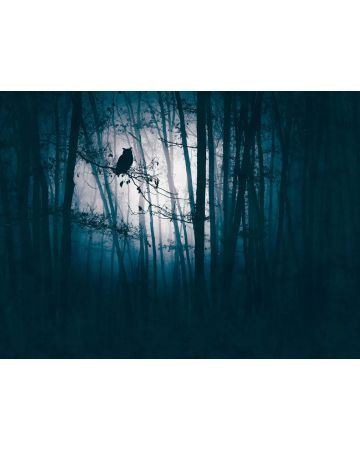 Fotomural bosque de noche 399091gWALL