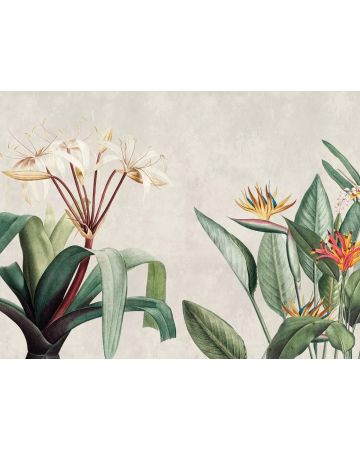 Fotomural plantas 399171gWALL