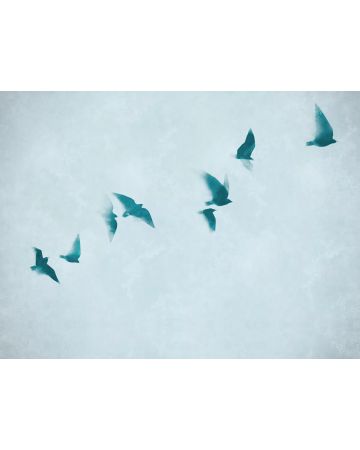 Fotomural pájaros volando 399231gWALL
