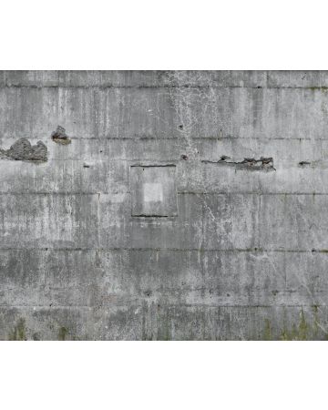 Fotomural pared de cemento 445510gMW
