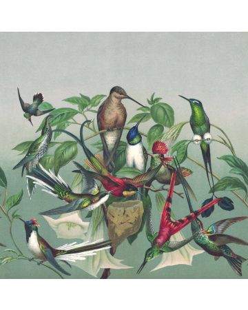 Fotomural pájaros en árbol 543551gMW
