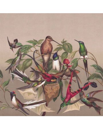 Fotomural pájaros en árbol 543575gMW