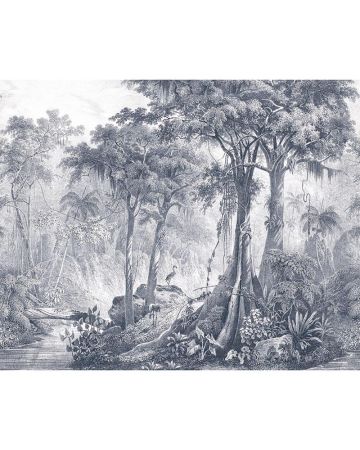 Fotomural selva tropical 543742gMAD