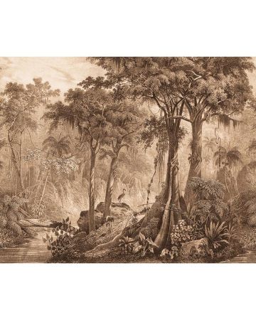 Fotomural selva tropical 543766gMAD