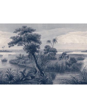 Fotomural selva tropical 556117gMAD